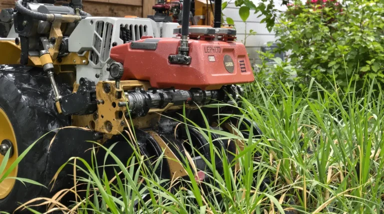 Jardin : ne tondez pas votre pelouse avant ce moment clé, ces 3 signaux doivent d&rsquo;abord apparaître chez vous